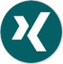 Hans Brandt-Pook auf XING